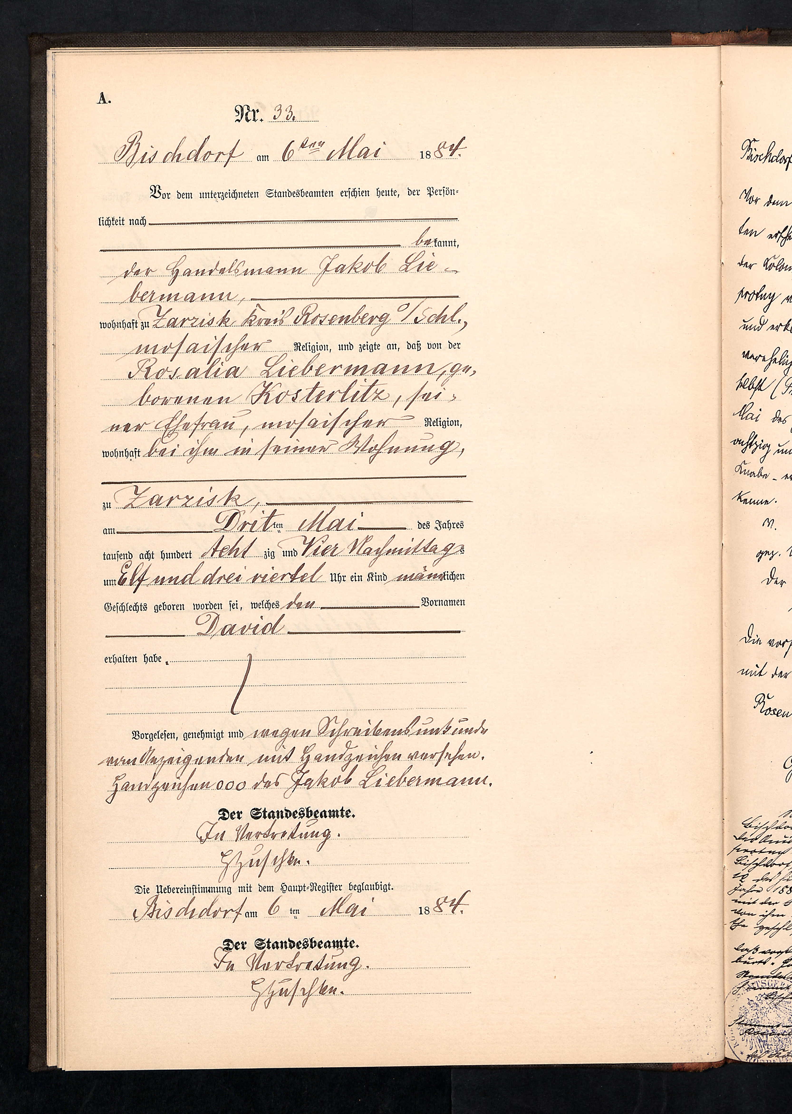 Birth Record, David Liebermann