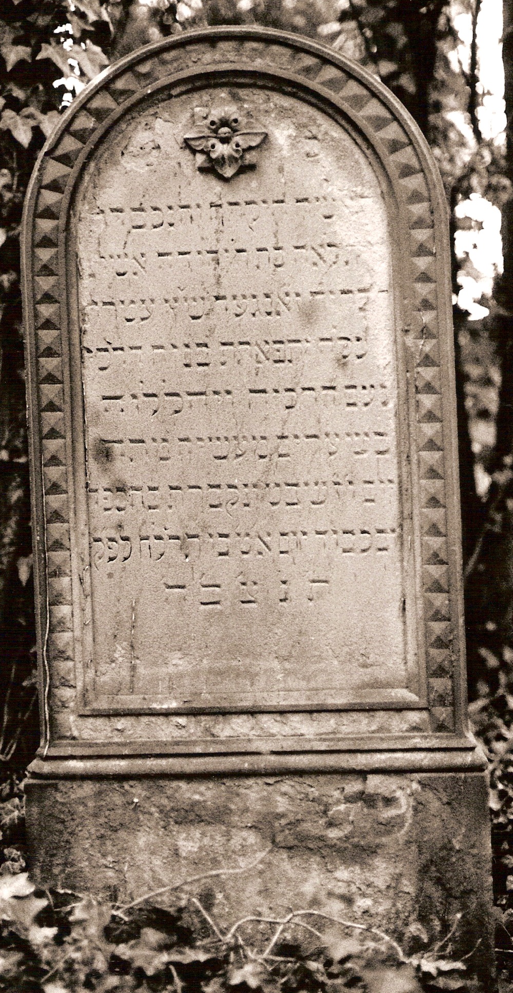 Obtained from Steinheim-Institut
Digitale Edition Bingen (1602-1968 / 878 Eintr�ge): Inv.-Nr. 0232,
URL: http://www.steinheim-institut.de/cgi-bin/epidat?function=Ins&sel=bng&inv=0018 (2010-02-20) 